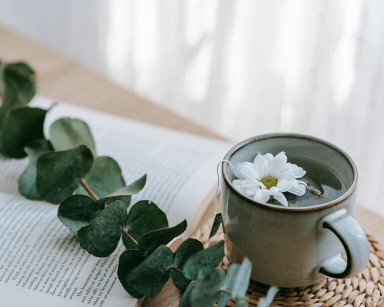 Integrative Wellness Academy Review and Why I Became An ISP (Integrative Somatic Practitioner)